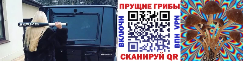 где можно купить   Новочеркасск  Псилоцибиновые грибы Cubensis 