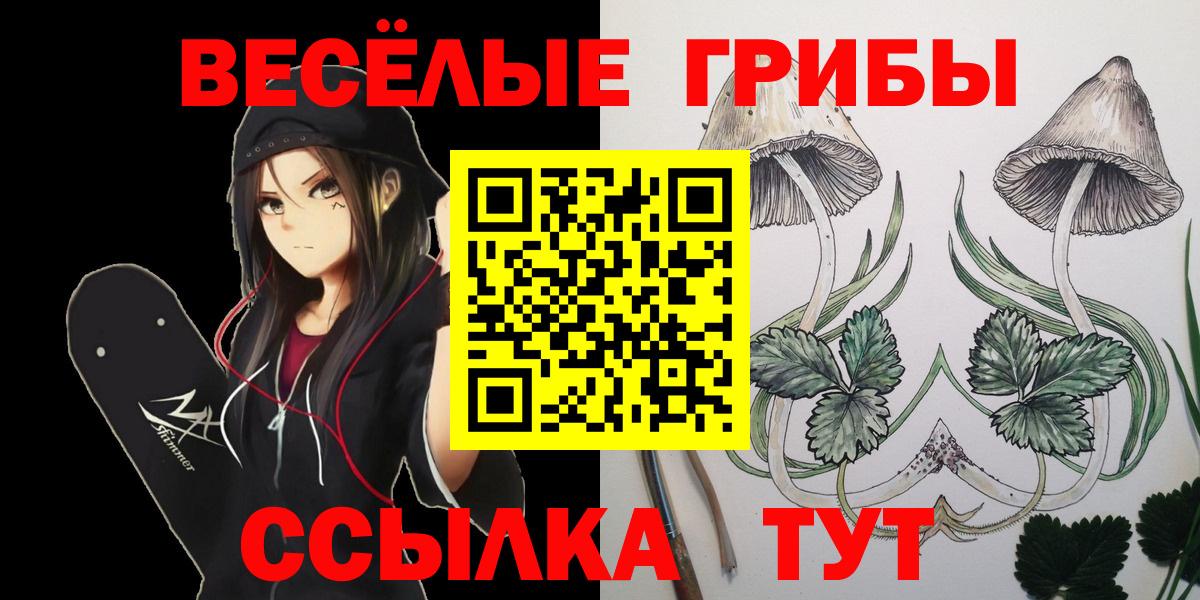 Галлюциногенные грибы мицелий Новочеркасск