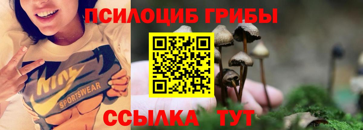 Галлюциногенные грибы MAGIC MUSHROOMS  Вход с VPN  Новочеркасск 